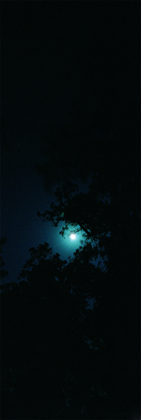 Moon Light 1     Photograph     80x30cm     2006     Edition of 10