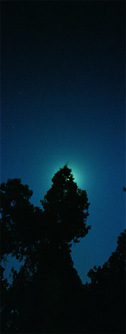 Moon Light 2     Photograph     80x30cm     2006     Edition of 10