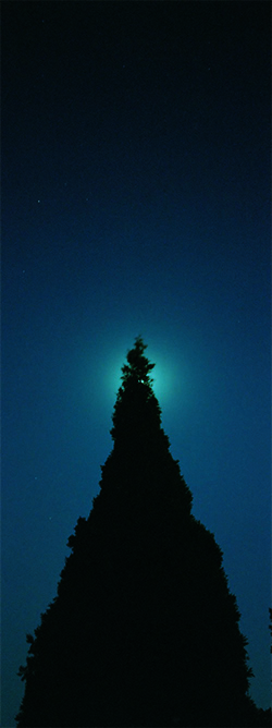 Moon Light 3     Photograph     80x30cm     2006     Edition of 10