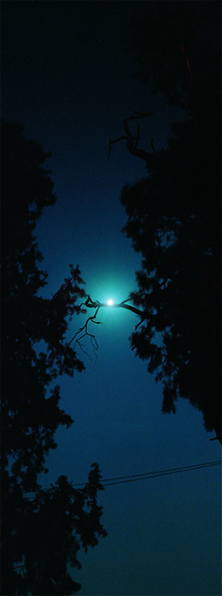 Moon Light 4     Photograph     80x30cm     2006     Edition of 10