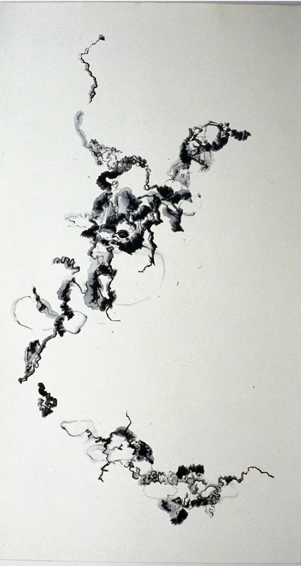 Aerial Suspension I     Broken pencil on paper     26x14.5in     2000