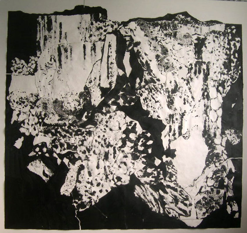 Yosemite     Paper ink wax     108x114in     2004