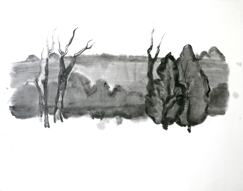 Landscape     Ink on paper     76x97cm     2010