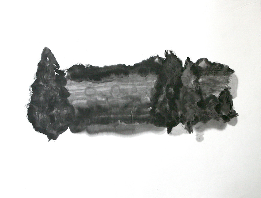 Landscape     Ink on paper     76x97cm     2010