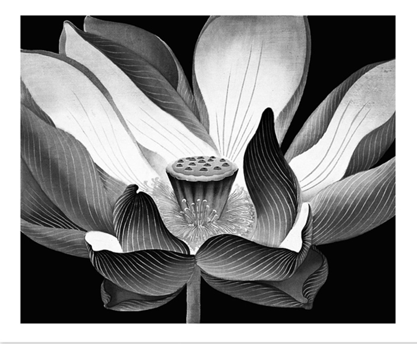 Lotus 1     Water-based woodcut     52x63cm     1993     Edition of 20