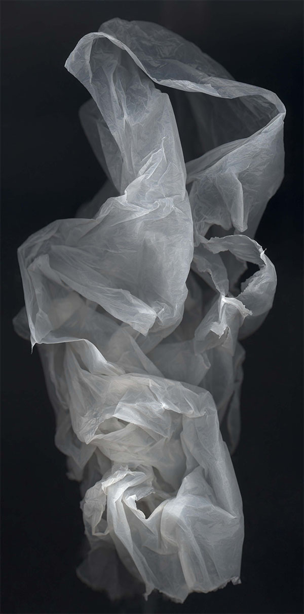 Plastic Bag 25     Photograph     100x50cm Edition of 12     244x122cm Edition of 6     2007